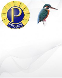 Kingfisher Probus